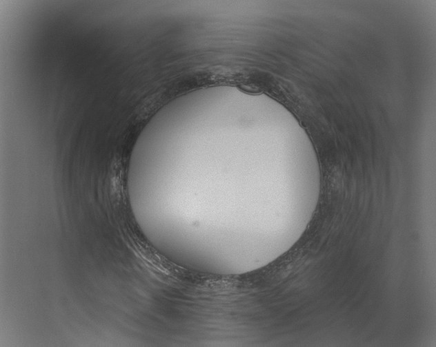 X0000073870914200609071655