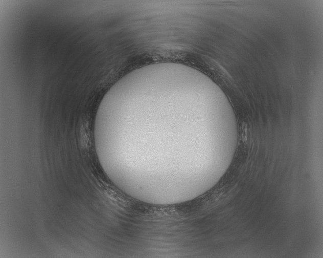 X0000073870915200609071655