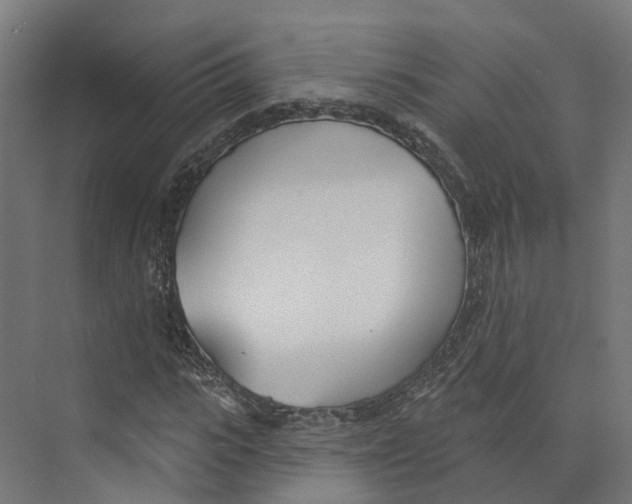 X0000073870919200609071655