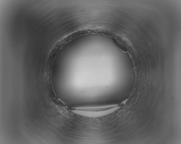 X0000073870920200609071655