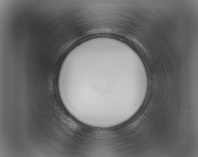 X0000073870921200609071655