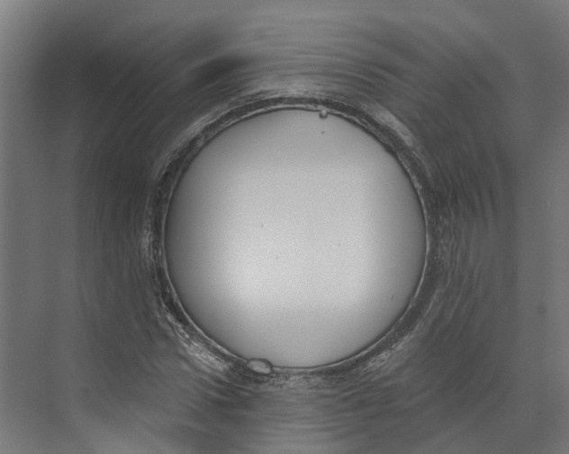 X0000073870922200609071655