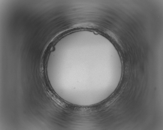 X0000073870923200609071655