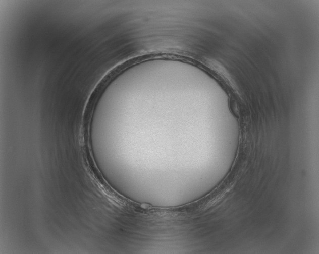 X0000073870924200609071655