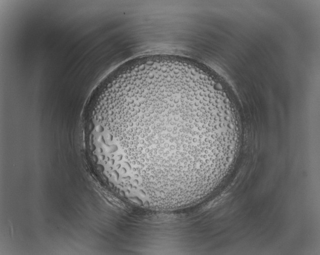 X0000073870925200609071655