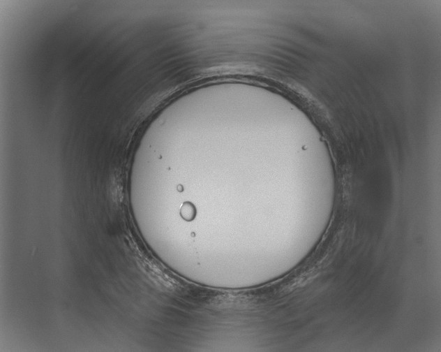 X0000073870929200609071655