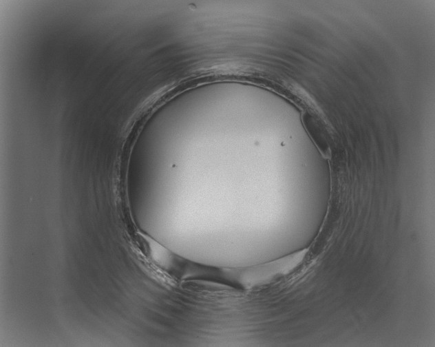 X0000073870930200609071655