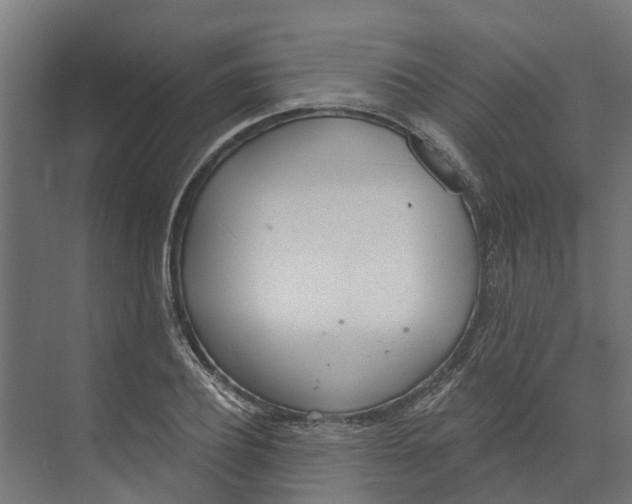 X0000073870932200609071655