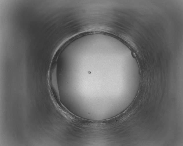 X0000073870936200609071655