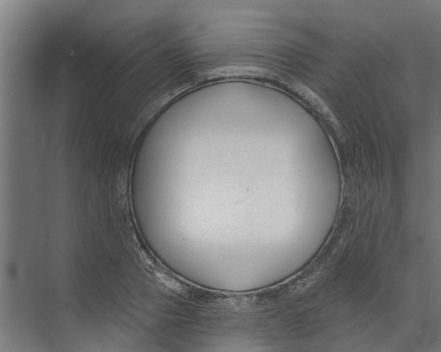 X0000073870937200609071655