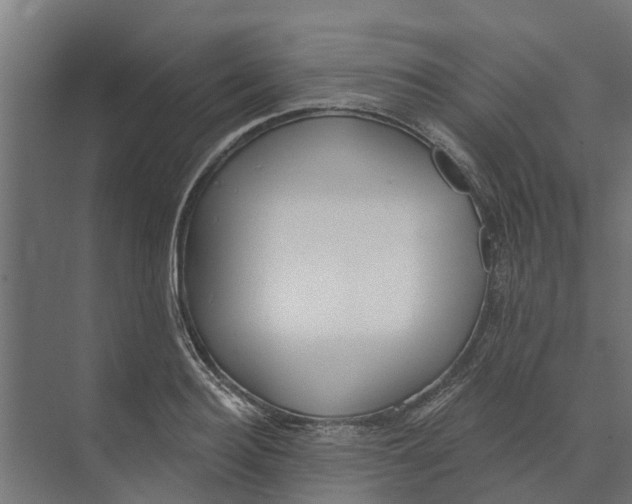 X0000073870940200609071655