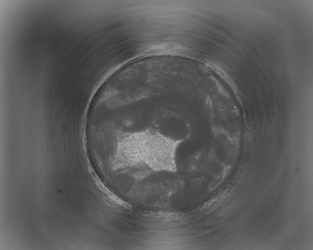 X0000073870941200609071655