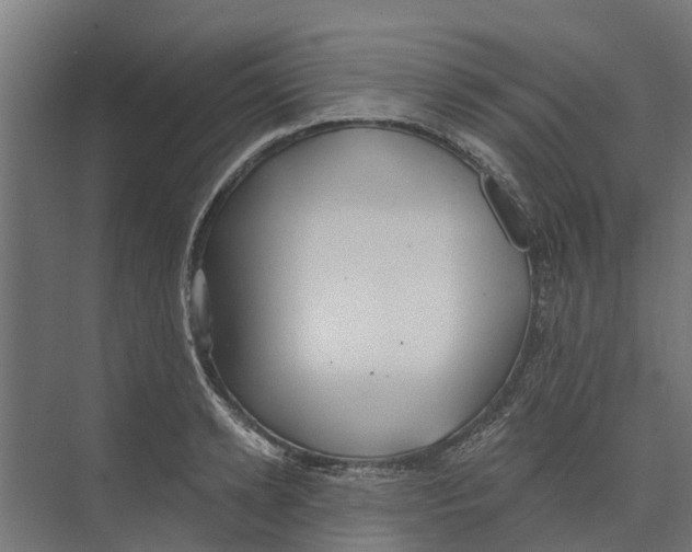 X0000073870942200609071655