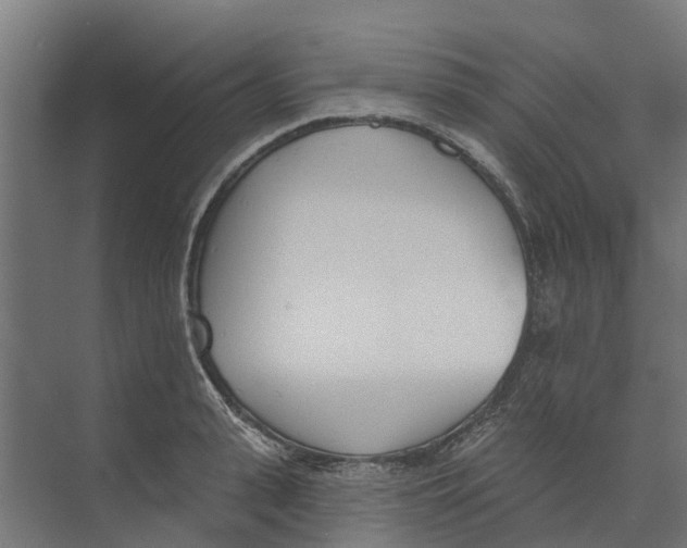 X0000073870943200609071655