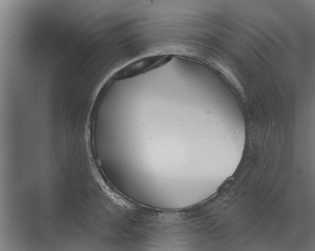 X0000073870944200609071655