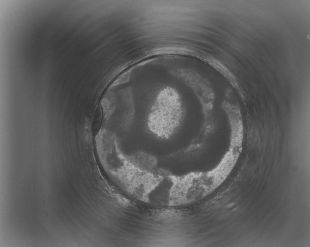 X0000073870945200609071655