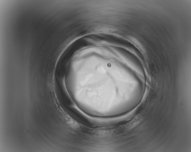 X0000073870948200609071655