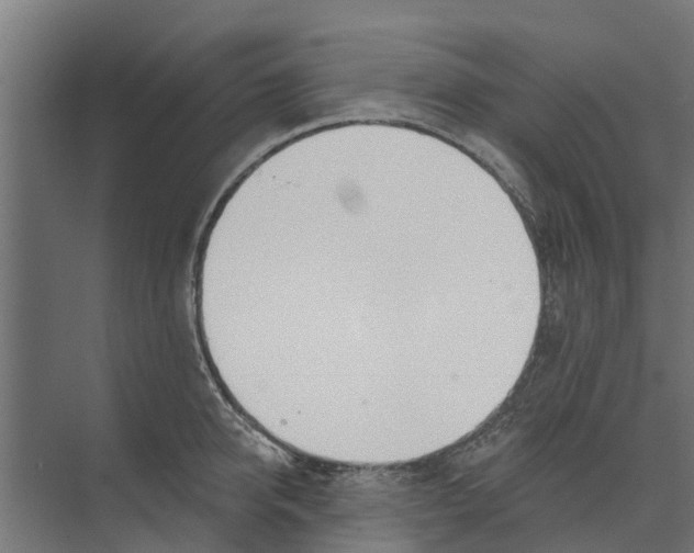 X0000073870950200609071655