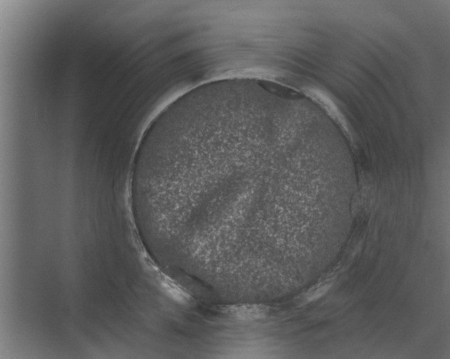 X0000073870952200609071655