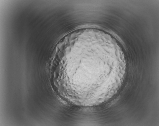 X0000073870953200609071655