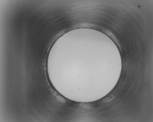 X0000073870954200609071655