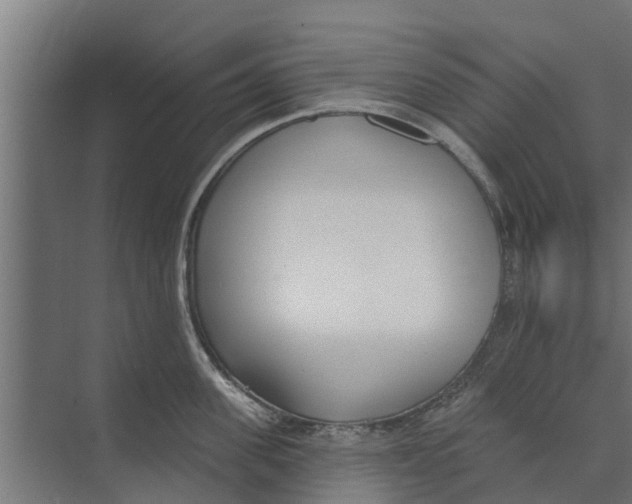 X0000073870955200609071655