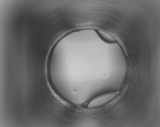 X0000073870957200609071655