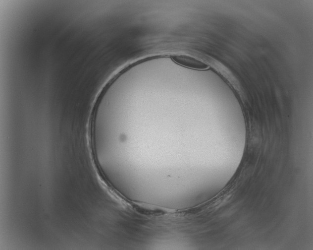 X0000073870958200609071655