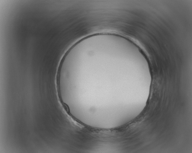 X0000073870959200609071655