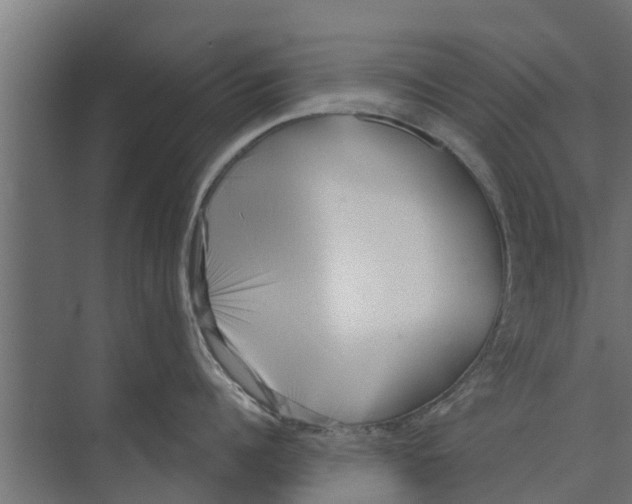 X0000073870960200609071655