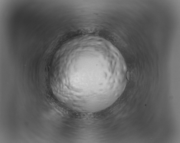 X0000073870961200609071655