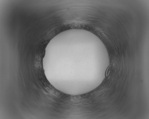 X0000073870964200609071655