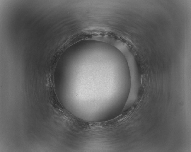 X0000073870965200609071655