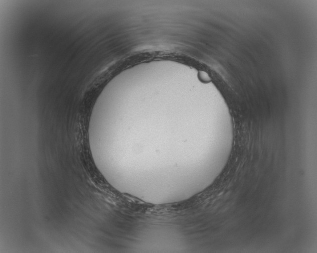 X0000073870967200609071655