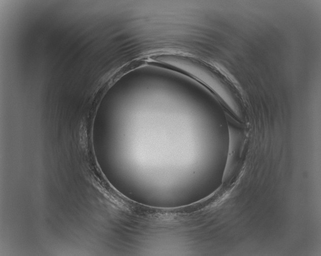 X0000073870969200609071655