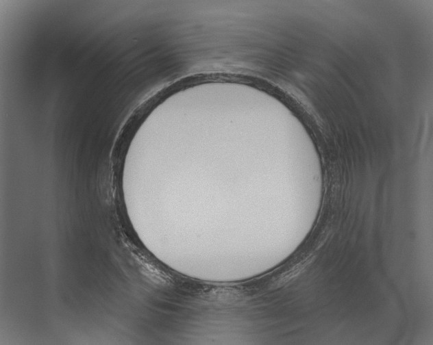 X0000073870974200609071654