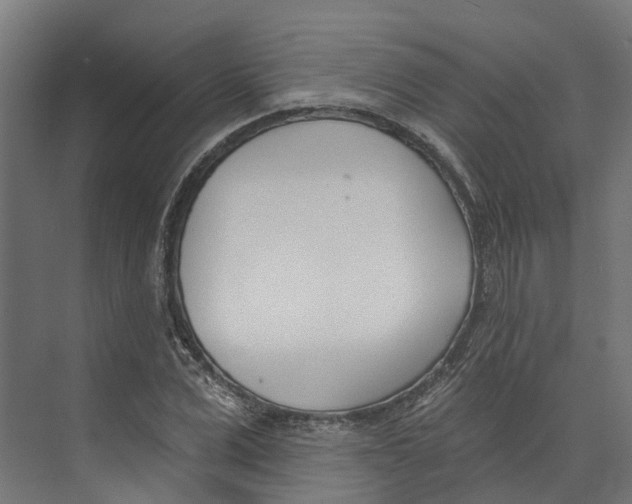 X0000073870975200609071654