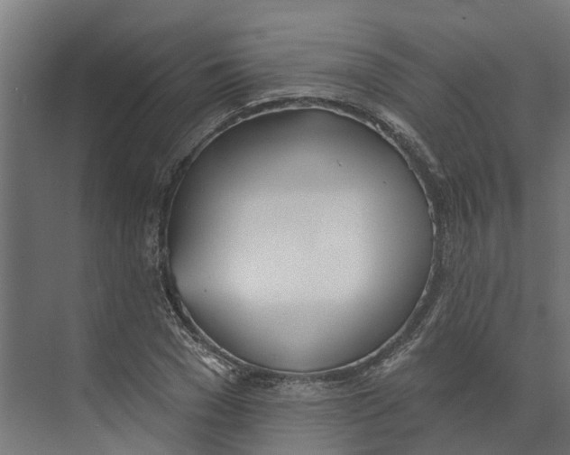 X0000073870977200609071654