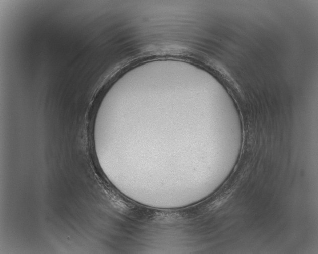 X0000073870978200609071654