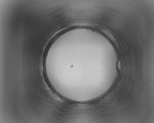 X0000073870984200609071654