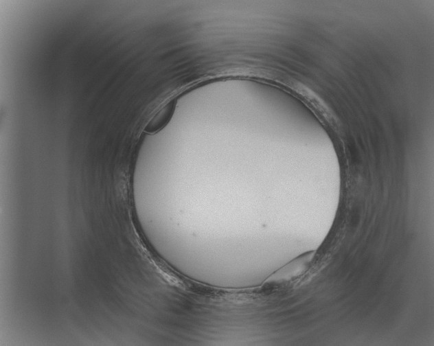 X0000073870993200609071654