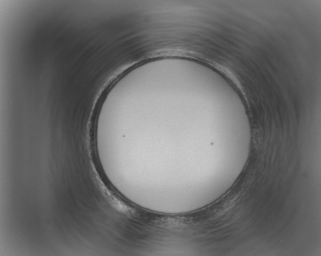 X0000073870995200609071654