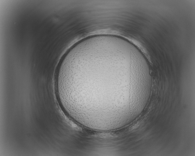 X0000073870998200609071654