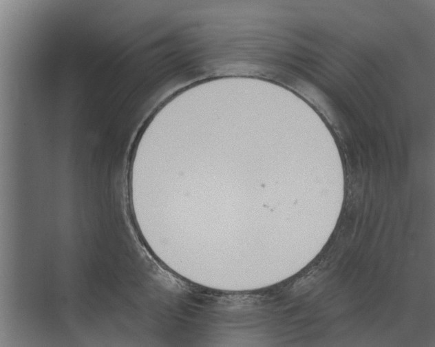 X0000073871000200609071654