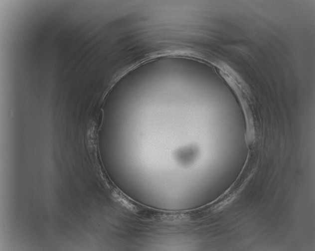 X0000073871001200609071654