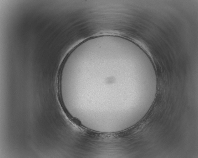 X0000073871003200609071654