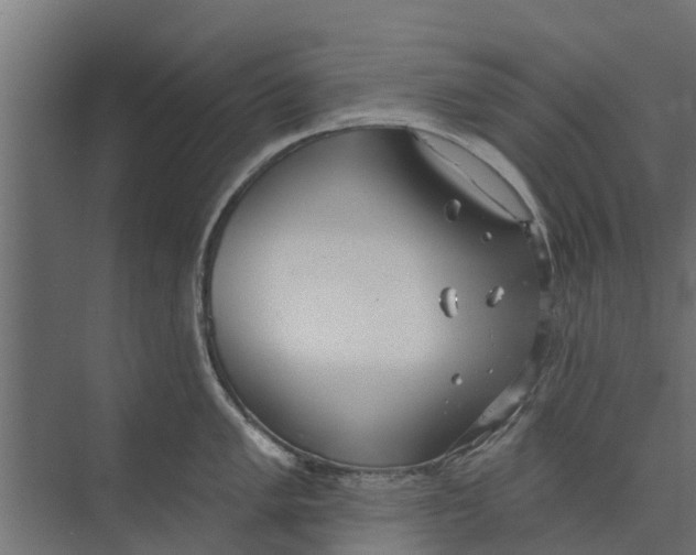 X0000073871005200609071654