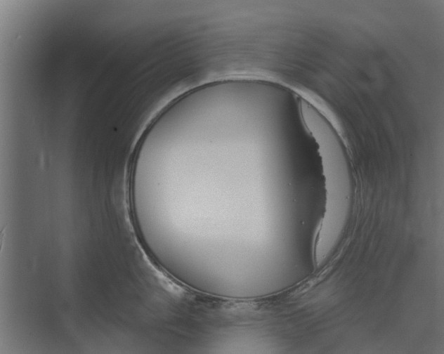 X0000073871006200609071654