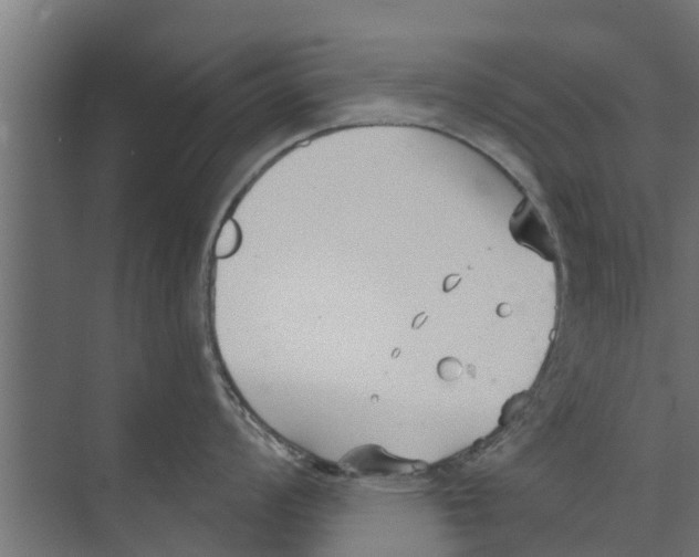 X0000073871008200609071654