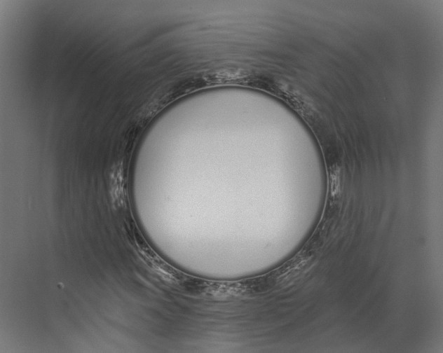 X0000073871011200609071653